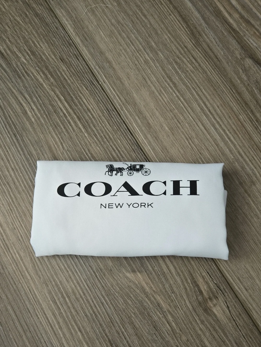 Coach Light Blue Curve Zip Shoulder Bag